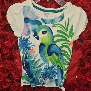 Crazy 8 Girls Teal and White Parrot Tee Size 7/8